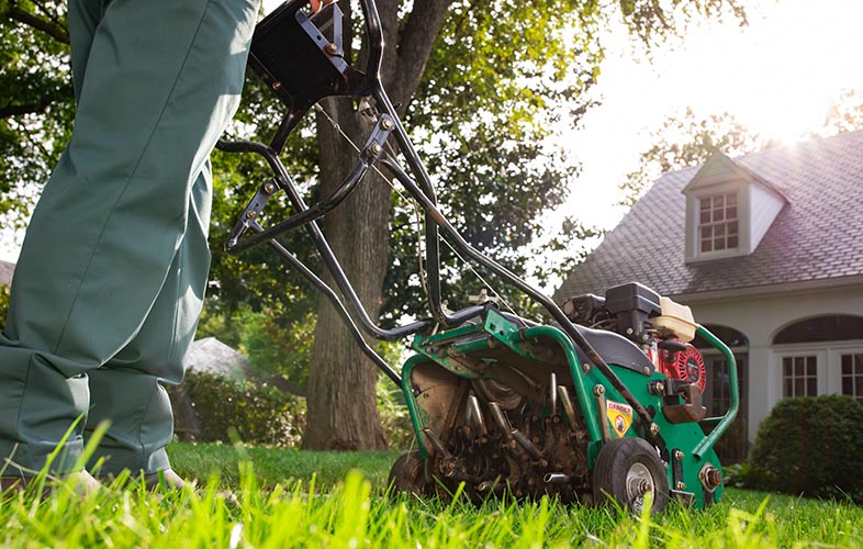 7 Benefits Of Lawn Aeration – TruGreen | TruGreen